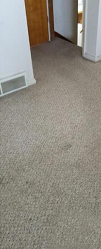 A carpet that is dirty and has been cleaned.