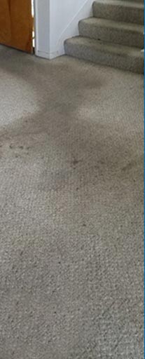 A carpet with brown spots on it